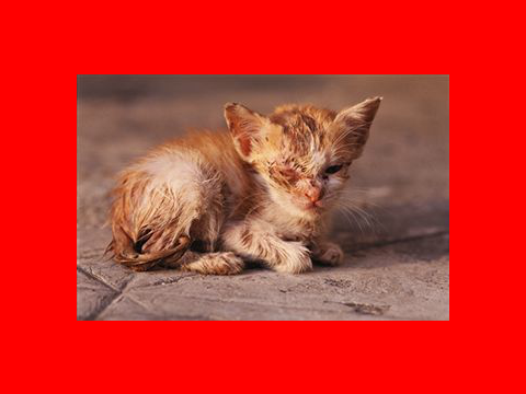 Plz help stop this! DX
