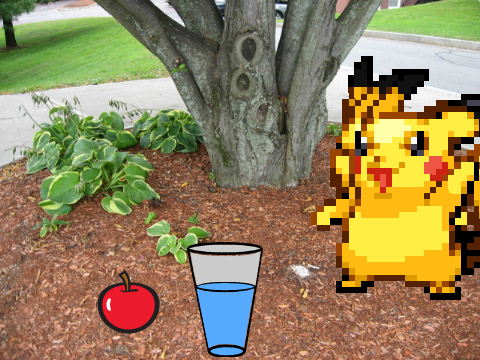 If pikachu was a virtual pet 