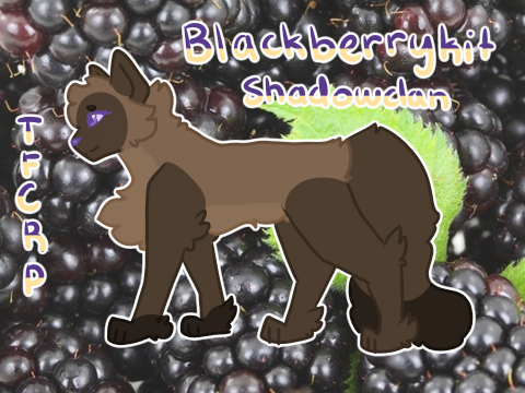 ☆ - - - Blackberrypaw . Allegiance Reference
