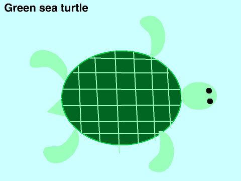 Hawaiin sea creature art - Natre project 2