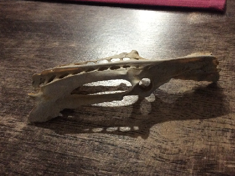 Can you help me? **I KNOW WHAT IT IS**