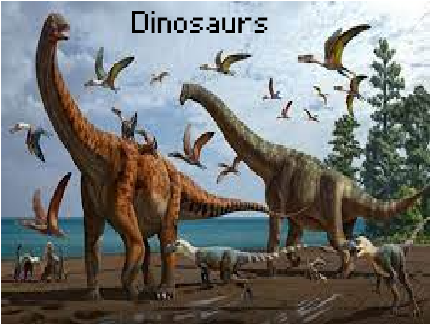 About Dinosaurs 