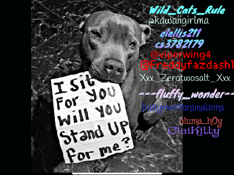 Remix and sign if you hate animal cruelty!! remix remix remix remix remix remix remix remix r… remix