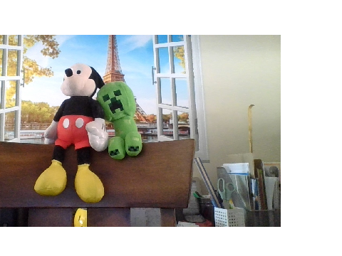 55 followers: Toy Review (2)