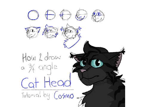 How To Draw 3/4 View Cat Head - In Cosmo’s Style B)