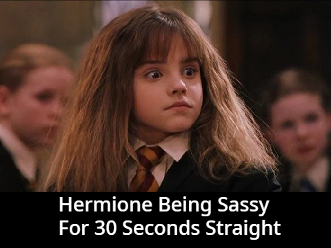 Hermione Being Sassy remix
