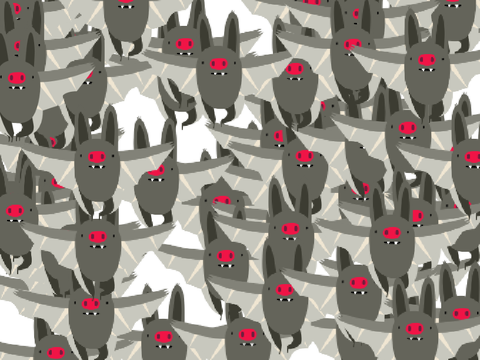 Bats everywhere 