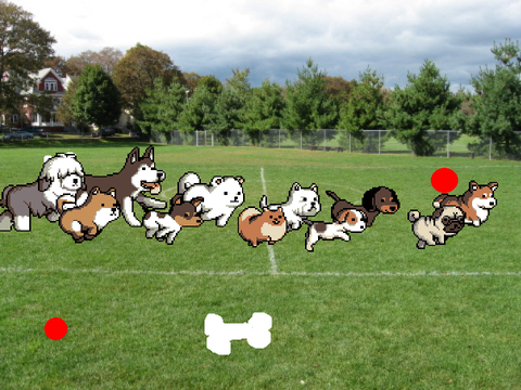 WHO LET THE DOGS OUT!!!!!??????