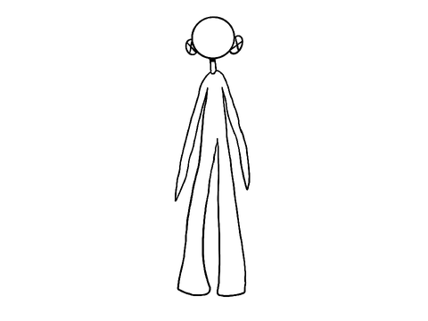 body type :]