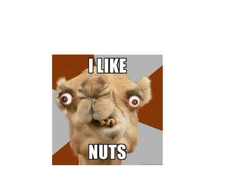 Weird camel