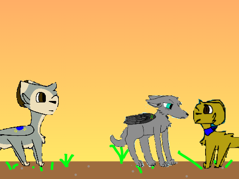 .:. Coffee .:. Open 7 Wolf Packs MAP .:. remix