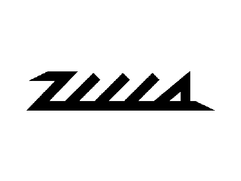 » 2009zilla
