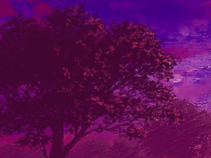 Project thumbnail