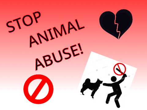 STOP ANIMAL ABUSE! remix remix remix remix remix
