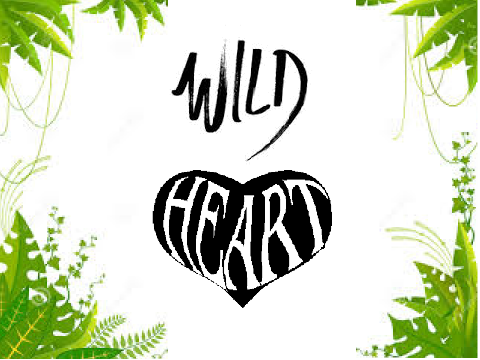 Wild Heart: Part 1