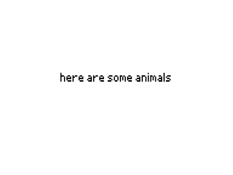 some animal submissions