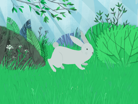 Lessons with Teacher Rabbit: Facts and Opinions