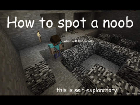 Minecraft mems