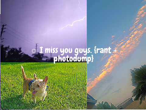 ☼ I miss you guys. {rant + photodump}