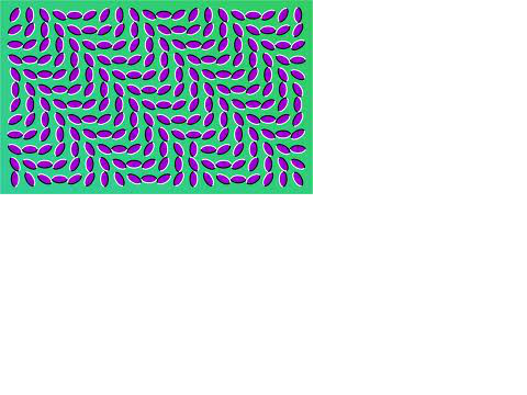 optical illusions demo