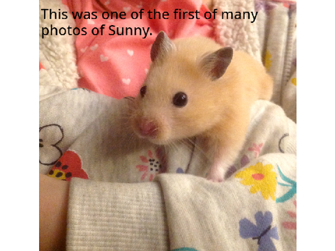 Goodnight, Sunny <3 