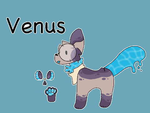 Aquafluffs | Myoe | Venus