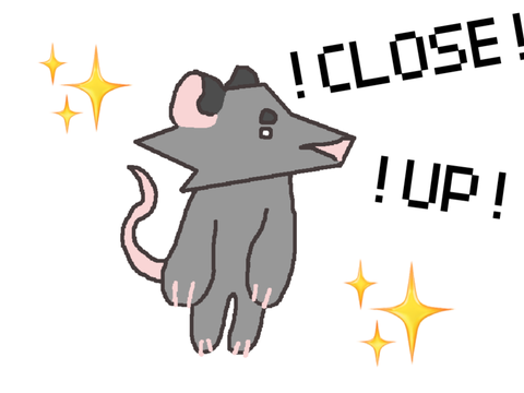 ! close up ! meme !  