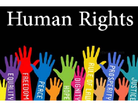 Individual Rights Day!!