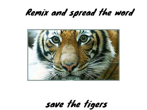 Save the tigers  remix