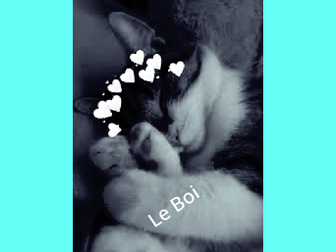 LoFi Hip-Hop Beats to Chill and pet your Boi too
