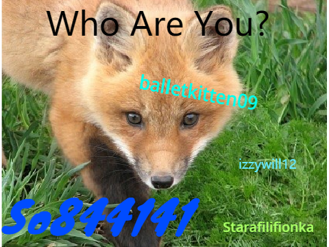 STOP HUNTING FOXES remix remix x4 remix remix remix remix remix