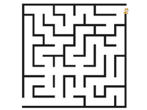 Amazing MAZE SOLVER