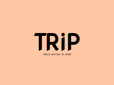 Trip demo version