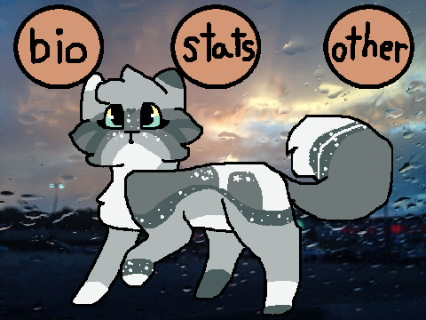 WarrenClan | Drizzlepaw
