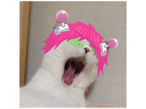 俺の猫です