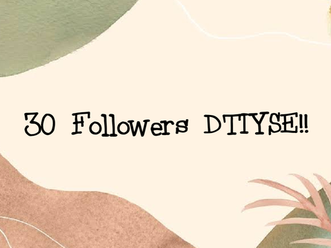 30 Followers DTIYSE!!