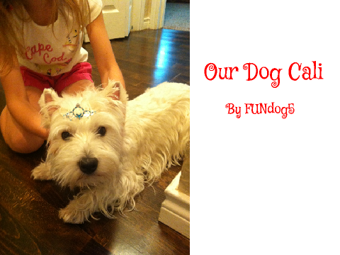 Cute Westie pics!!