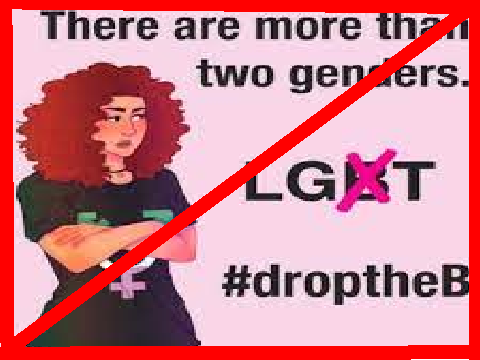 What is Bisexual?