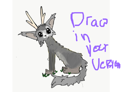 cat drawing