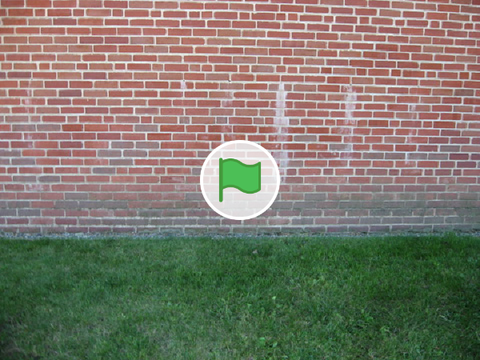 Green flag animation