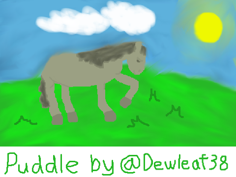 Dewleaf38 Horse for Competition