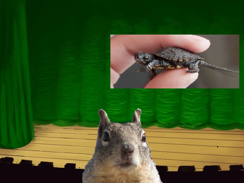 Sundays video, Cute vs cute!