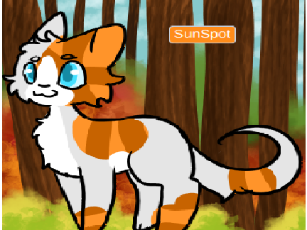 My Amazing Warrior Cat!