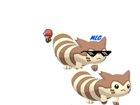 Furret Walk Meme