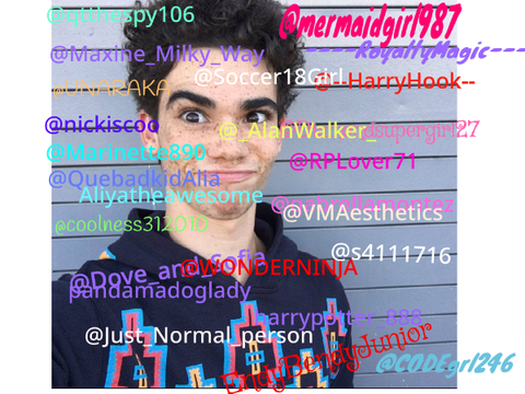 Remix and sign if you miss Cameron Boyce remix remix remix