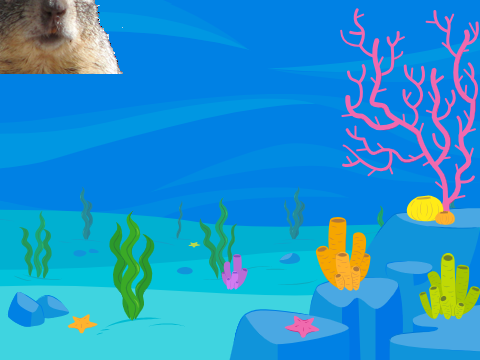 Bubble Squirrel