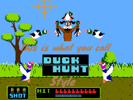 Duck Hunt 