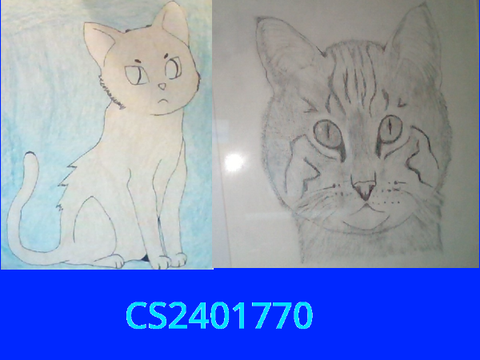 Art Contest Entry