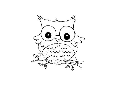owl coloring contest!