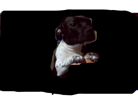 My doggo